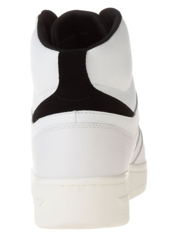 Tommy Hilfiger Shoes Leder-Sneakers in Creme