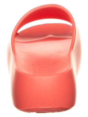 Tommy Hilfiger Shoes Pantoletten in Rot