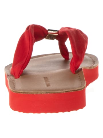 Tommy Hilfiger Shoes Zehentrenner in Rot
