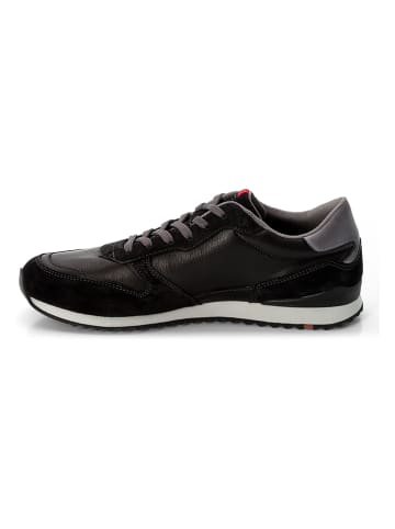 LLOYD Leren sneakers "Edmond" zwart