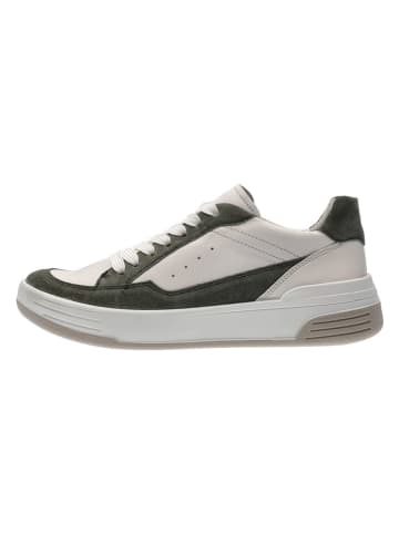 Ara Shoes Skórzane sneakersy w kolorze kremowo-oliwkowym