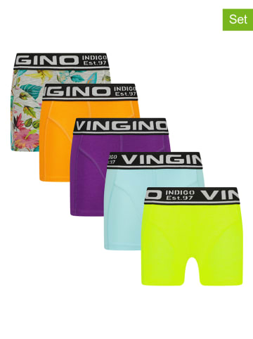 Vingino 5er-Set: Boxershorts in Bunt