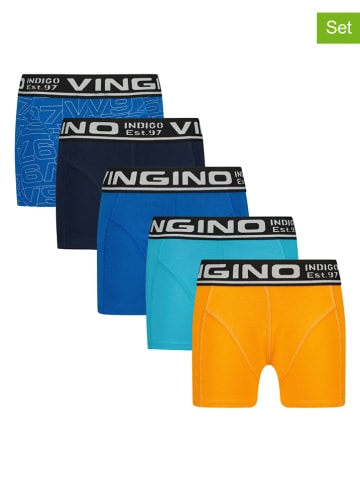 Vingino 5-delige set: boxershorts meerkleurig