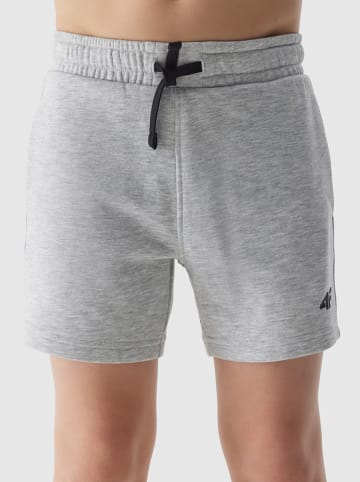 4F Shorts in Grau
