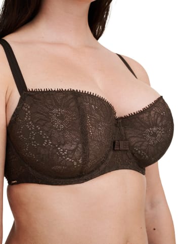 Chantelle Spacerbeha bruin