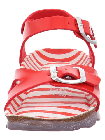 superfit Sandalen "Jellies" in Rot