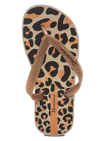 Ipanema Teenslippers beige/goudkleurig