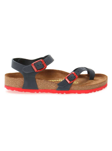 Comfortfusse Leder-Zehensandalen in Dunkelblau