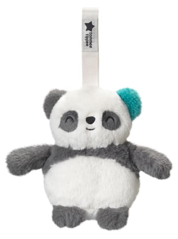 tommee tippee Przytulanka interaktywna "Pip the Panda" - 0+