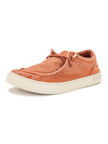 natural world Schnürschuhe in Lachs