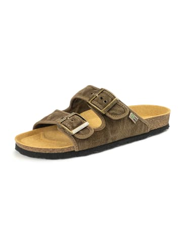 natural world Slippers bruin