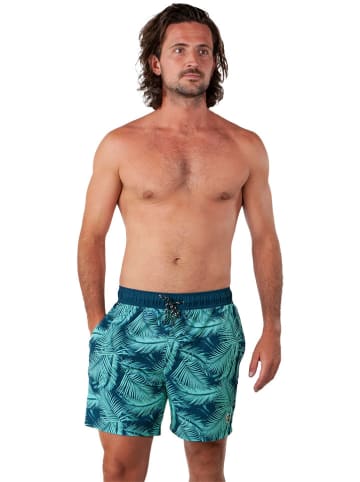 Barts Zwemshort "Darwin" donkerblauw/turquoise