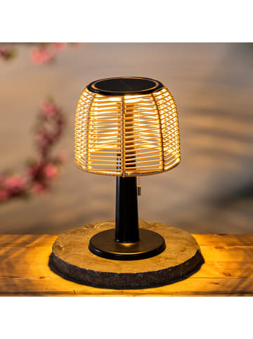 Profigarden Solartafellamp lichtbruin - (H)33 x Ø 21 cm