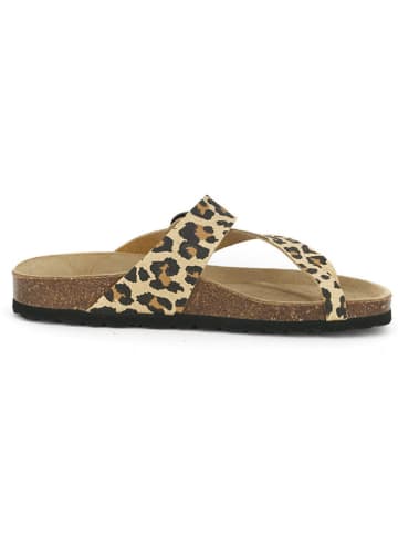 BABUNKERS Family Teenslippers beige/bruin