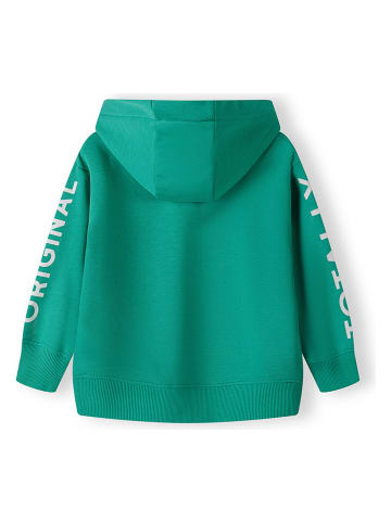 Minoti Hoodie groen