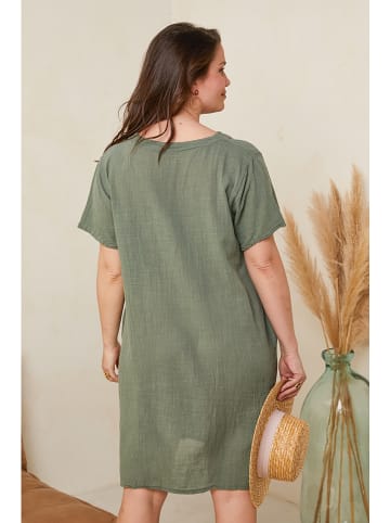 Curvy Lady Sukienka w kolorze khaki