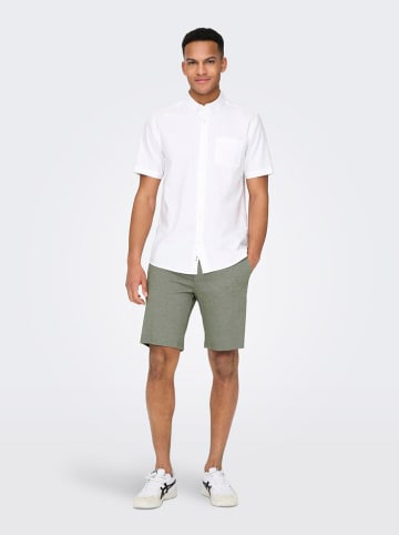 ONLY & SONS Chinoshorts in Khaki