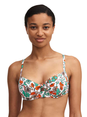 Passionata Bikini-Oberteil in Bunt
