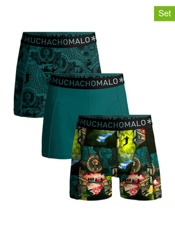 Muchachomalo 3-delige set: boxershorts turquoise/meerkleurig