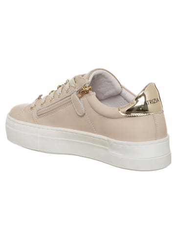 Patrizia Pepe Leder-Sneakers in Beige/ Gold