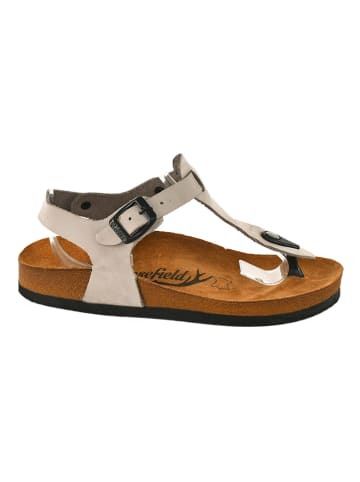 Moosefield Leren teensandalen grijs