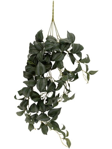 Present Time Sztuczna roślina "Tradescantia" w kolorze zielonym - 27,9 x 76,2 cm