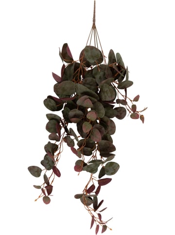 Present Time Sztuczna roślina "Ceropegia" w kolorze zielonym - 20,3 x 78,7 cm