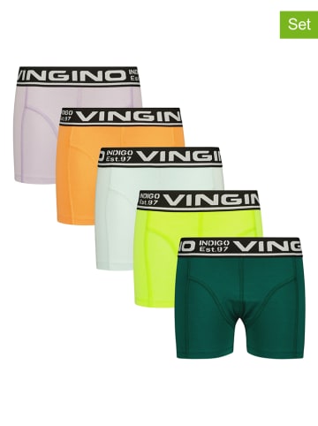 Vingino 5-delige set: boxershorts meerkleurig