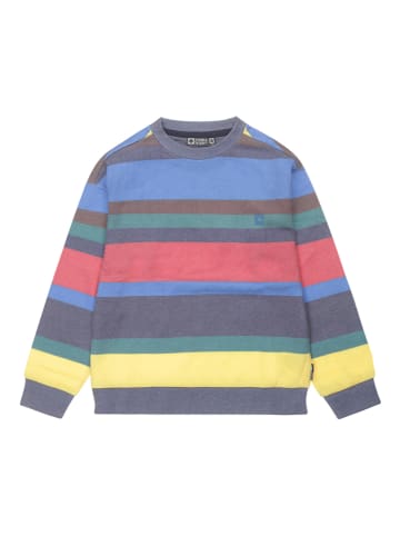 Tumble 'N Dry Sweatshirt in Bunt