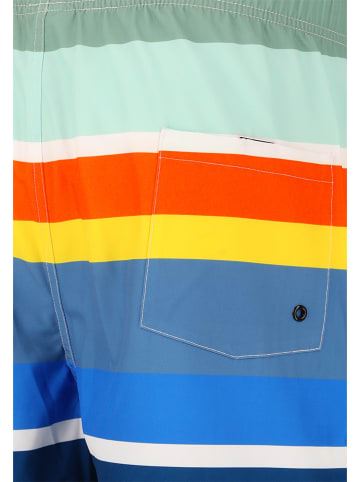Cruz Badeshorts in Bunt