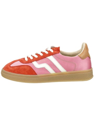 GANT Footwear Leder-Sneakers "Cuzima" in Rot/ Rosa in Rot/ Rosa