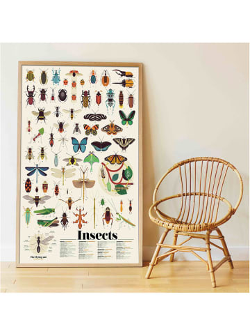 Ploppik Sticker-leerposter "Insecten" - vanaf 6 jaar