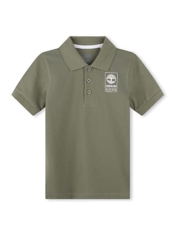Timberland Poloshirt in Khaki