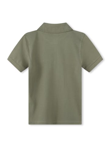Timberland Poloshirt in Khaki