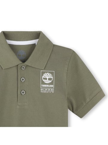 Timberland Poloshirt in Khaki