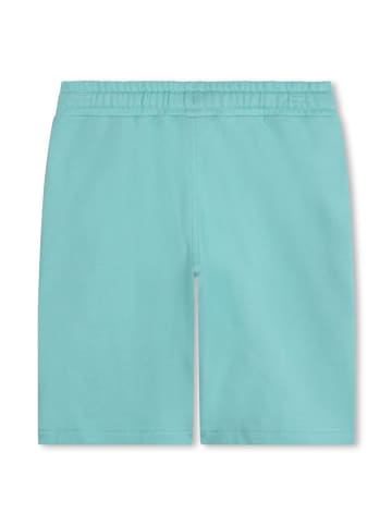 Timberland Sweatshorts in Türkis