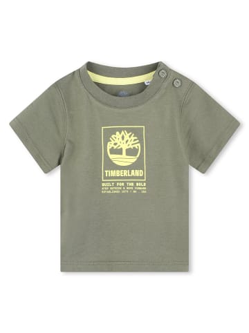 Timberland Shirt in Khaki