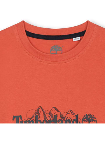 Timberland Shirt in Rostrot