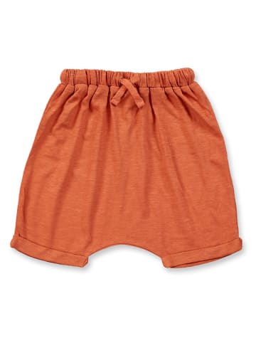 Sense Organics Shorts "Magesh" in Orange