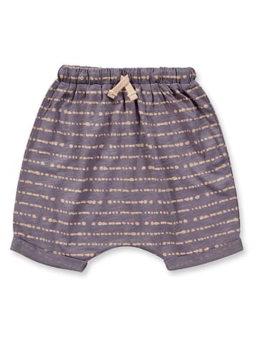 Sense Organics Short "Magesh" grijs