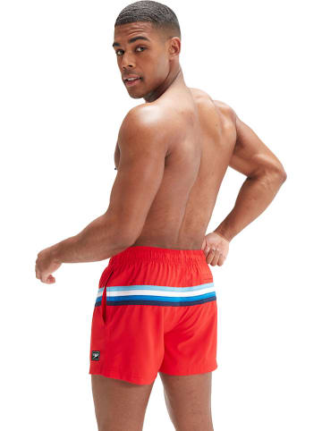 Speedo Zwemshorts rood