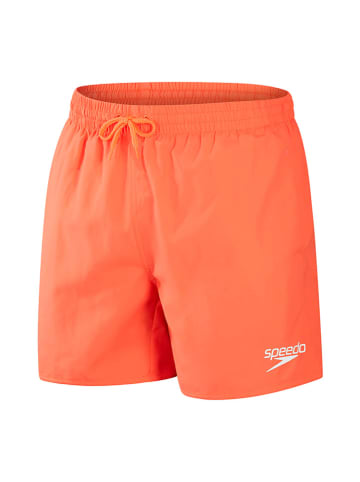 Speedo Badeshorts "Essentials 16" in Orange