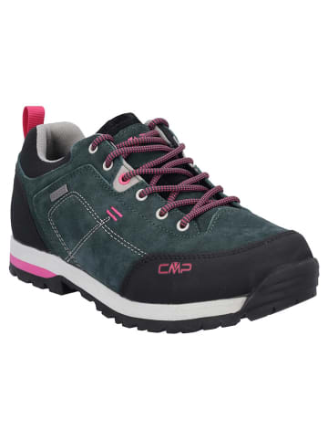 CMP Leren trekkingschoenen "Alcor 2.0" groen/zwart