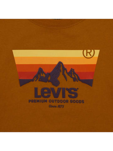 Levi's Kids Shirt in Hellbraun