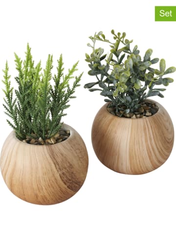Boltze 2er-Set: Kunstpflanze "Wacholder" in Hellbraun/ Grün - (H)18 cm