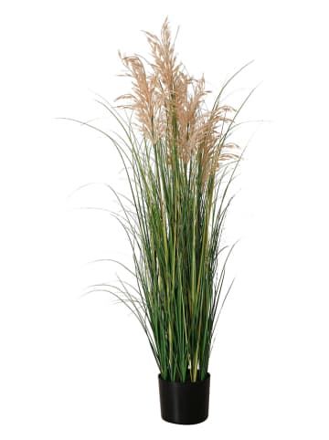 Boltze Kunstpflanze "Gras" in Grün/ Beige - (H)130 cm