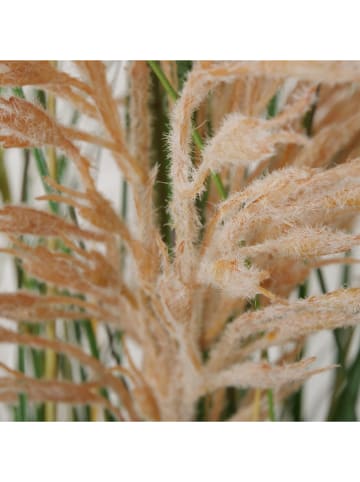 Boltze Sztuczna roślina "Grass" w kolorze zielono-beżowym - wys. 130 cm