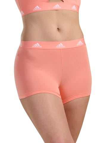 adidas Panty in Apricot