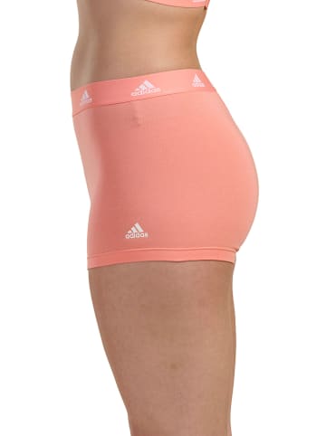 adidas Panty in Apricot