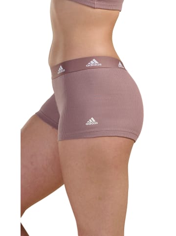 adidas Panty in Altrosa